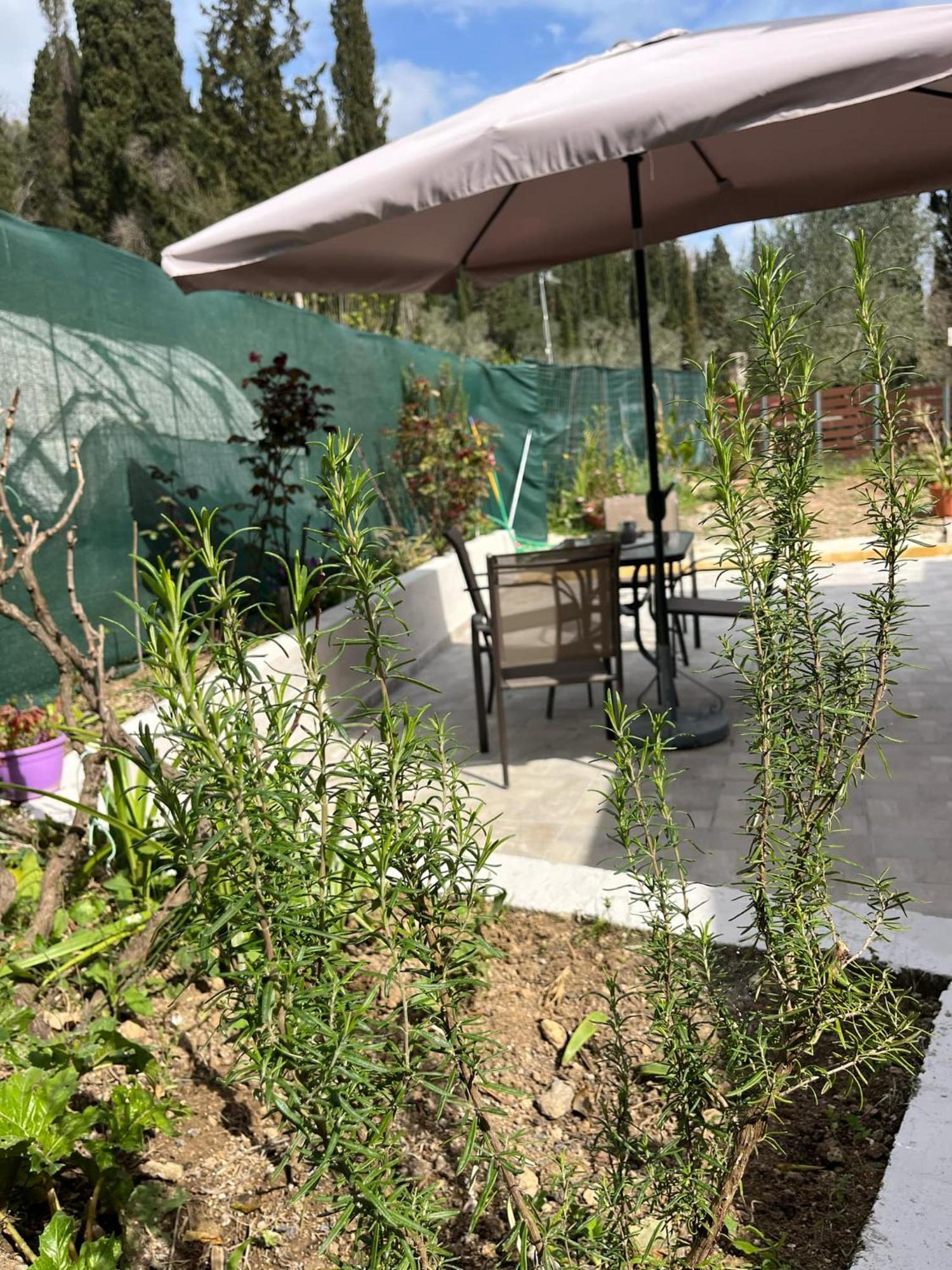 G&Z Cottage Kynopiástai 외부 사진